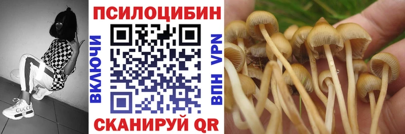 мега tor  Октябрьск  Галлюциногенные грибы GOLDEN TEACHER 